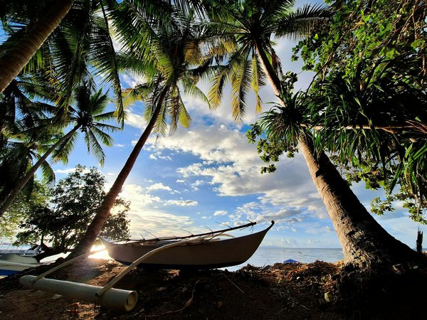 Où pratiquer le snorkeling au milieu des raies manta à Hawaii ?